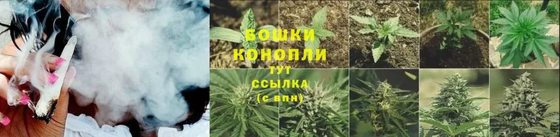 наркошоп  Кимовск  Бошки марихуана White Widow 